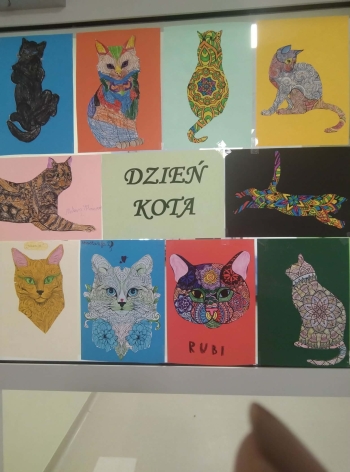 9fb62e24-4472-4696-abc5-c4032a321951 1